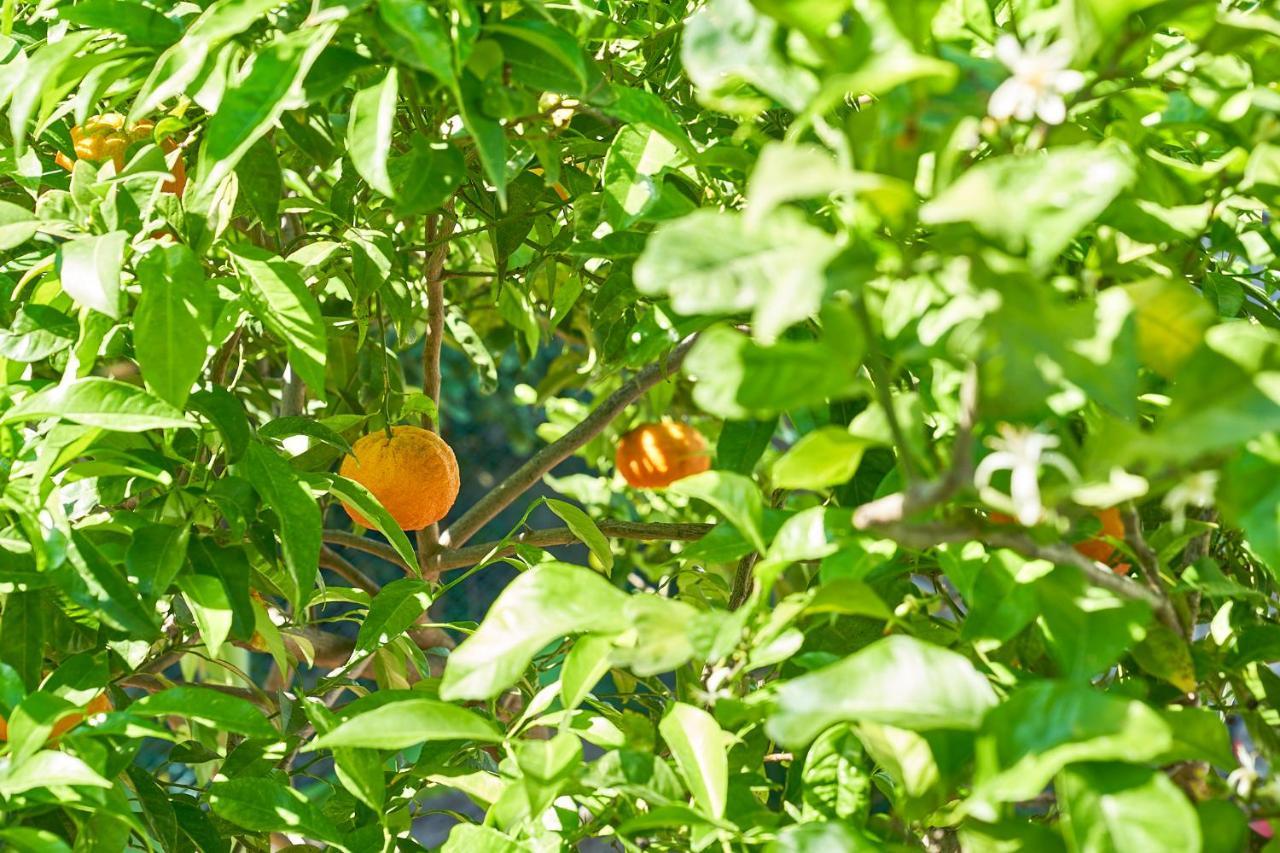 La Gitana Frühstückspension Anacapri (Isola di Capri)