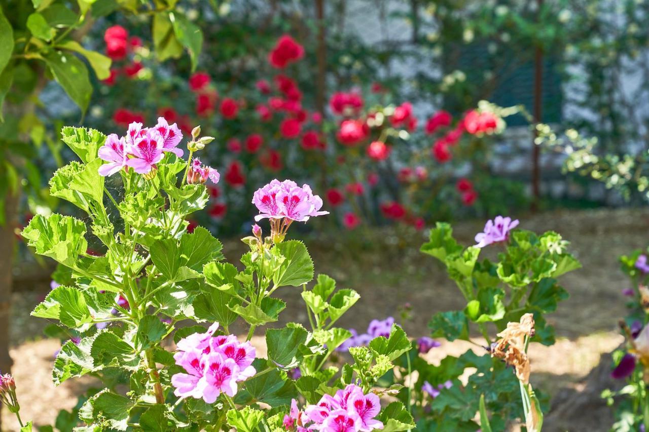 La Gitana Frühstückspension Anacapri (Isola di Capri)